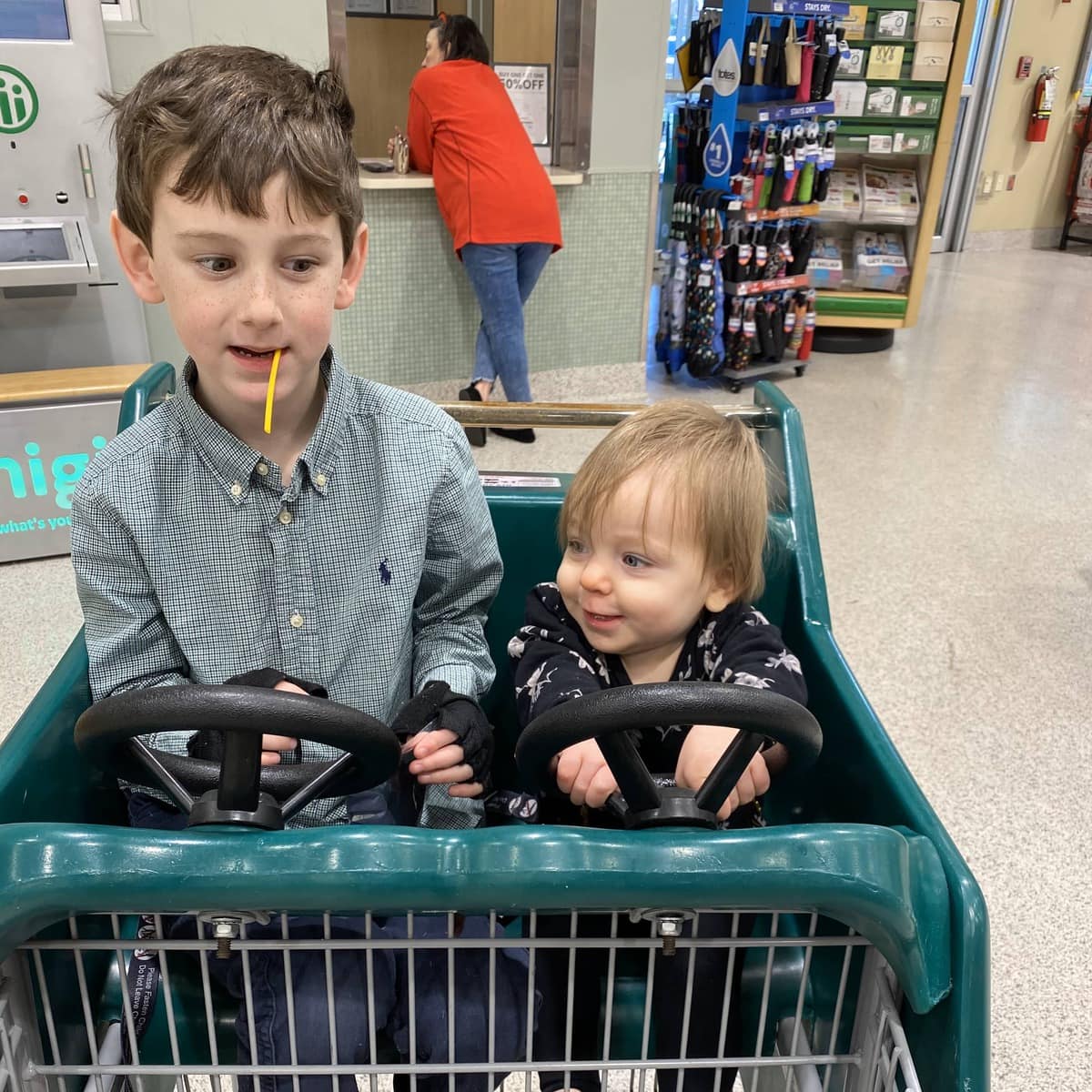Two small children in a race car style shopping cart